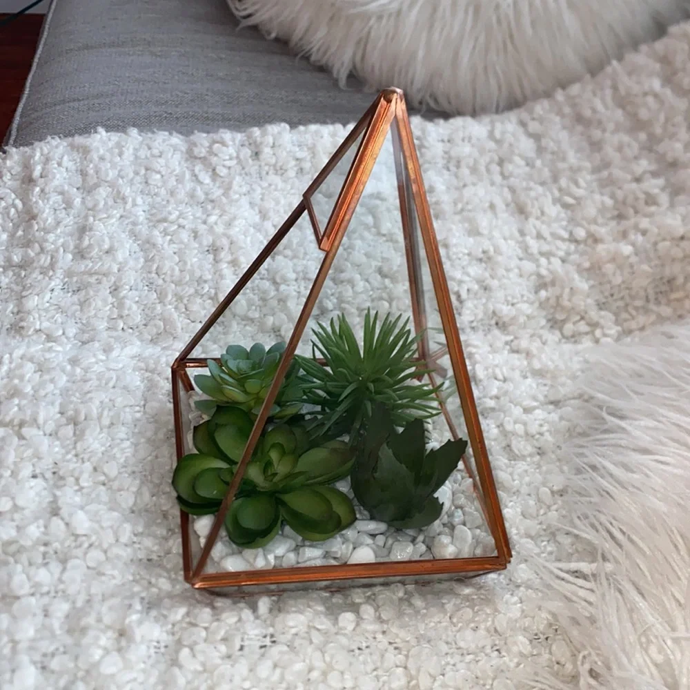 New succulent glass dome decor